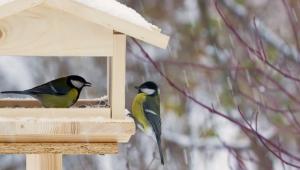 12 Економічні новини - головні новини України та світу