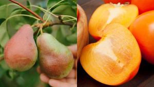 1737226492 9439 Економічні новини - головні новини України та світу