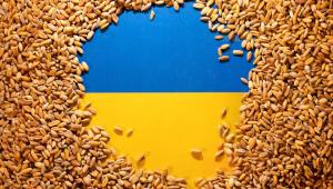 Grain from Ukraine