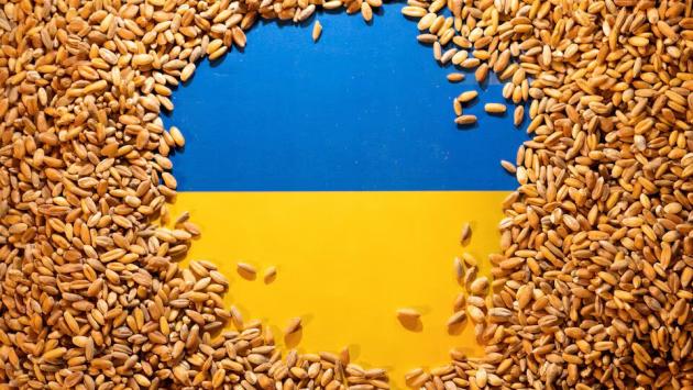 Grain from Ukraine