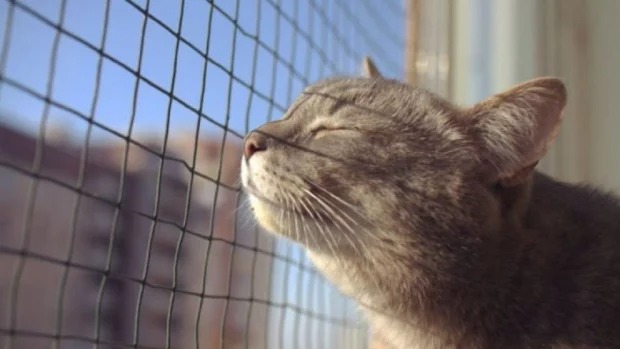 Економічні новини - головні новини України та світу