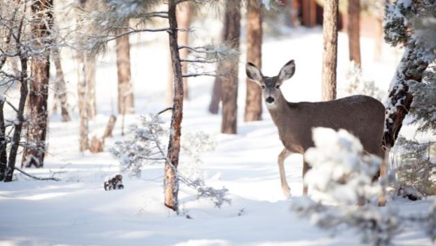 2 7 Економічні новини - головні новини України та світу