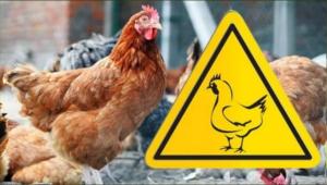 223e890a6683935f6738fe9e6c25da48 Економічні новини - головні новини України та світу