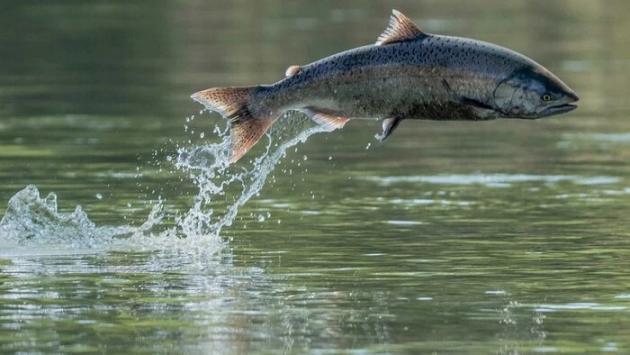 31 main v1739302722 Економічні новини - головні новини України та світу