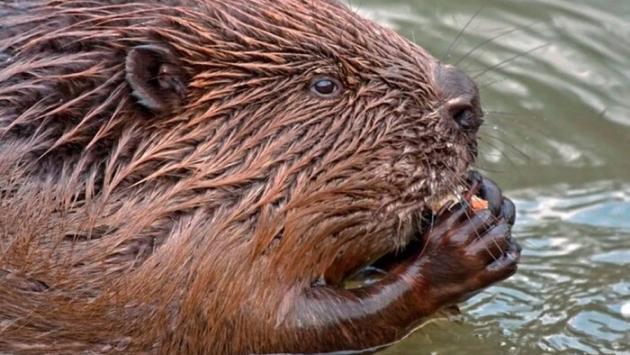 37 main v1738602741 Економічні новини - головні новини України та світу