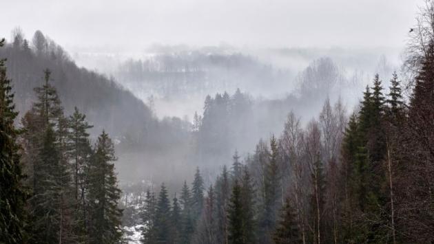 51 Економічні новини - головні новини України та світу