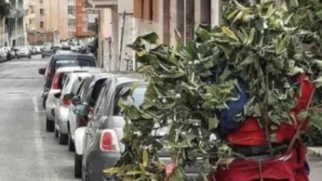 51 main v1739668949 Економічні новини - головні новини України та світу