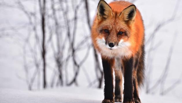 54 Економічні новини - головні новини України та світу