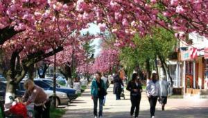 8dnvriyjqjianxcao5sbqs0yrrdk6g43 Економічні новини - головні новини України та світу