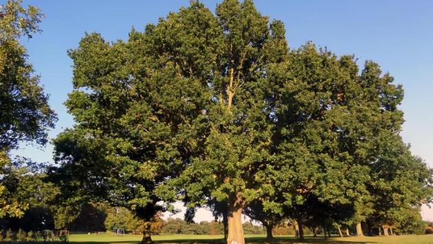 b326511c57c77fc9893c6c49d19e86ef Економічні новини - головні новини України та світу