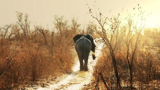 freepik com f98829257702211 Економічні новини - головні новини України та світу