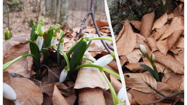 izobrazhenie viber 2025 02 28 14 22 03 823 Економічні новини - головні новини України та світу