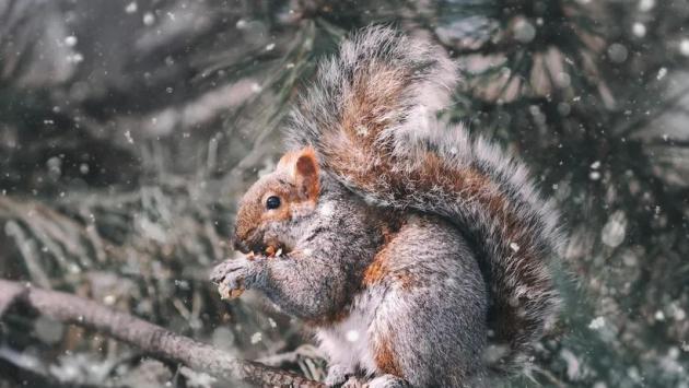 pexels kovyrina 3572838 1 1 Економічні новини - головні новини України та світу