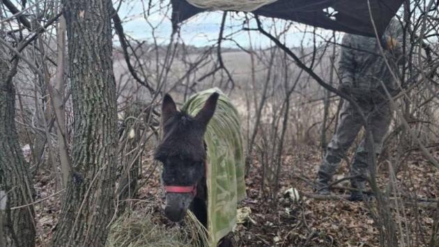 visljuk Економічні новини - головні новини України та світу