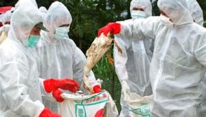 vyk1qgxn7akogoustjvfpsquoyt8fhln Економічні новини - головні новини України та світу