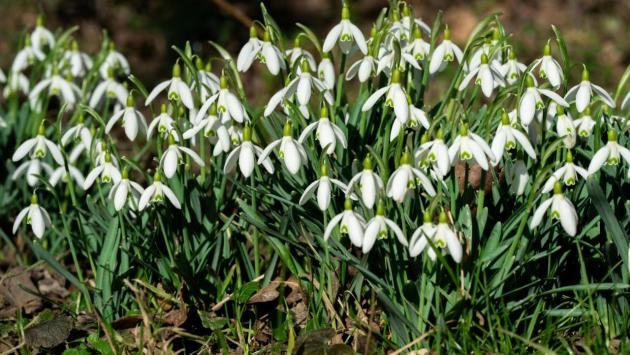 010084m0 a447 Економічні новини - головні новини України та світу