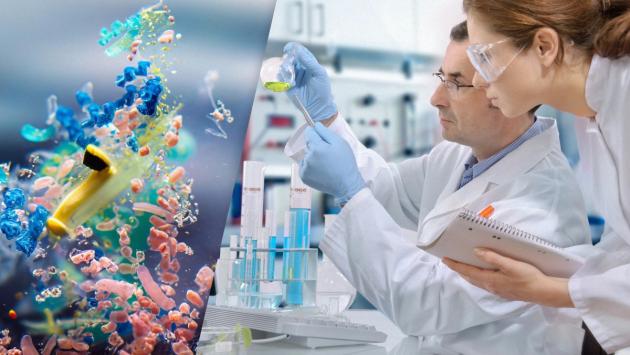 1726574455 9856 1 Економічні новини - головні новини України та світу