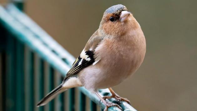 1740847668 3489 Економічні новини - головні новини України та світу