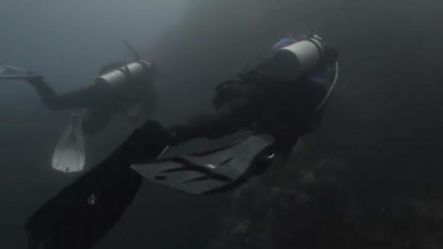 1740876785 6092 Економічні новини - головні новини України та світу