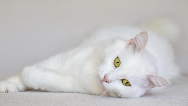 1741527892 1838 Економічні новини - головні новини України та світу