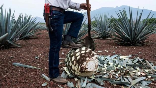 34 main v1740851858 Економічні новини - головні новини України та світу