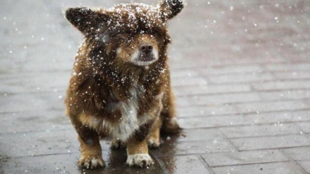 5vpvsx78ijghcoztpxj1umcfcy4yuj2g Економічні новини - головні новини України та світу