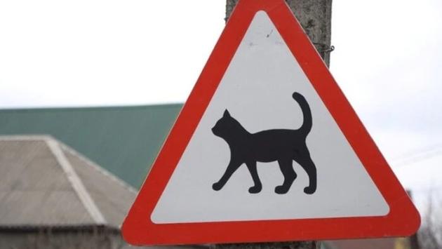 62 main v1741423076 Економічні новини - головні новини України та світу