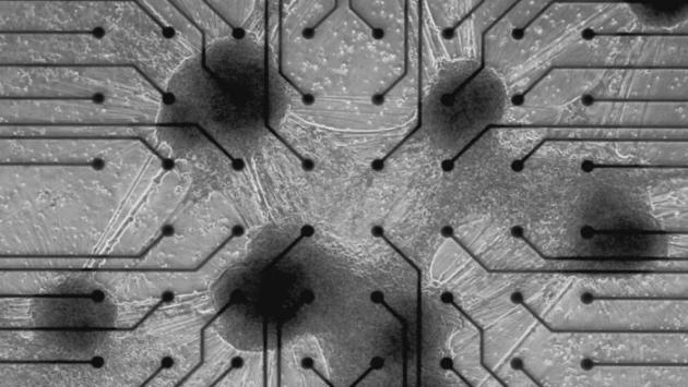 7 main v1741453084 Економічні новини - головні новини України та світу