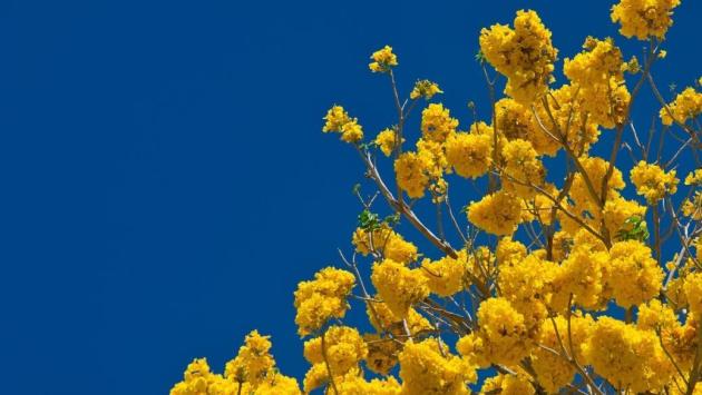 91073bb8c8d22c3c9a5670a42bb7b247 Економічні новини - головні новини України та світу