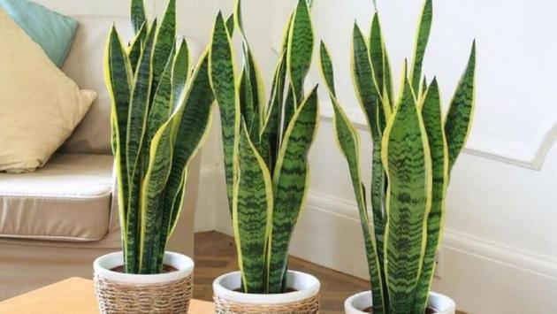 9ehb7zh1wmwzkjsdhn mb3iuy so5yzs Економічні новини - головні новини України та світу