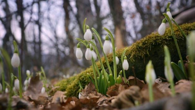 d8ilygmuplnbzi8dg2mejoflkmczaic8 Економічні новини - головні новини України та світу