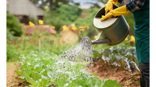 izobrazhenie viber 2025 03 07 13 24 11 589 Економічні новини - головні новини України та світу