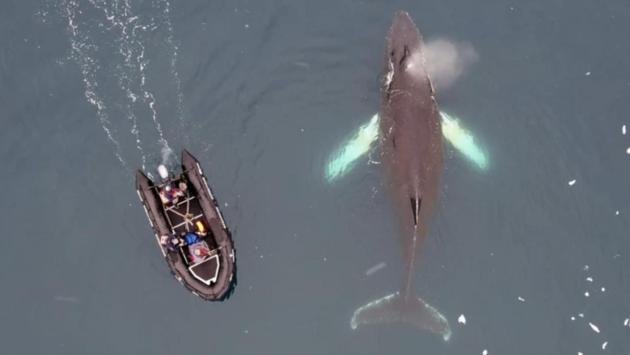 snimok ekrana 2025 03 03 v 11.24.14 Економічні новини - головні новини України та світу