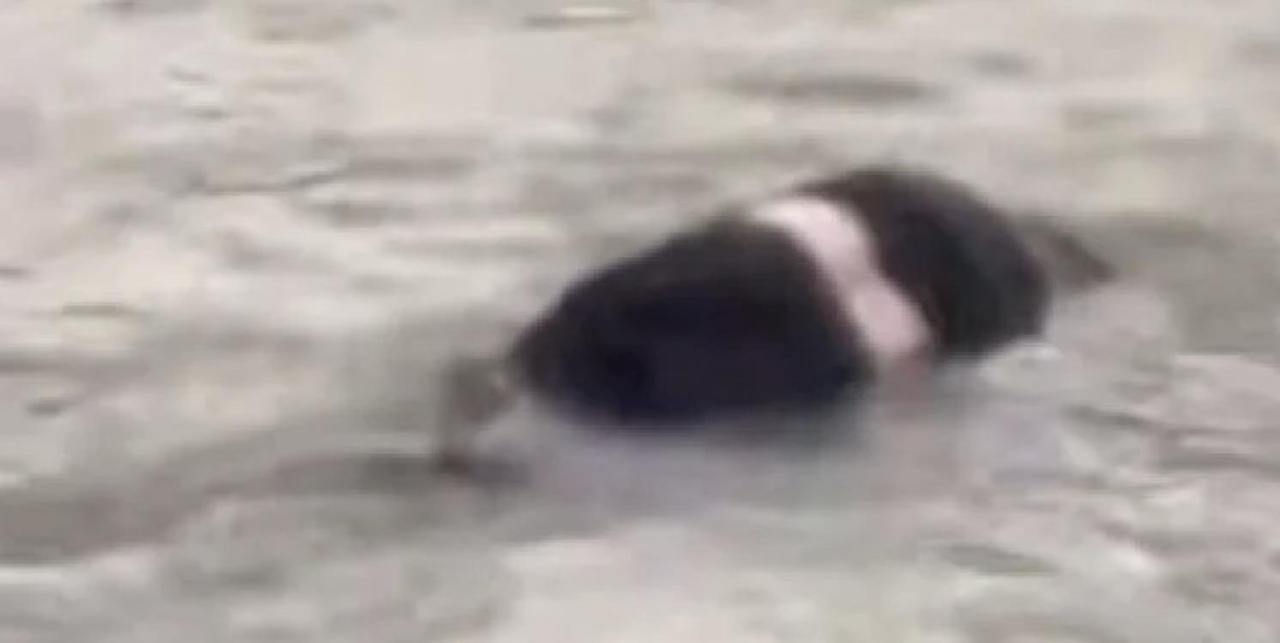 snimok ekrana 2025 03 30 v 12.54.11 Економічні новини - головні новини України та світу