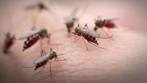 t6hcaadkhlkejkiszktnf2mrvivpspvj Економічні новини - головні новини України та світу