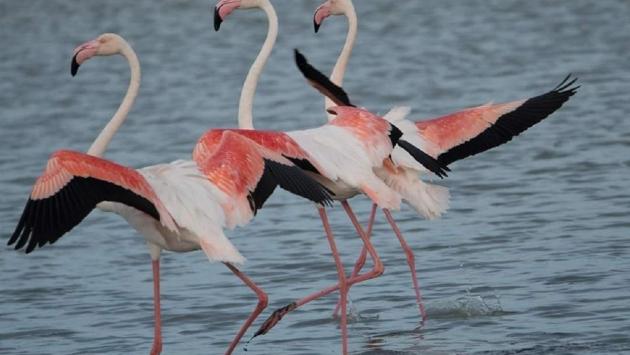 1660508009 9145 Економічні новини - головні новини України та світу