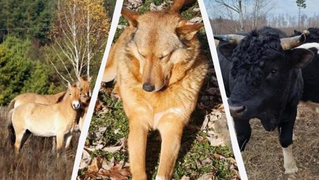 1745693082 3158 Економічні новини - головні новини України та світу