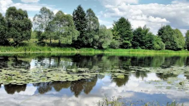 33 main v1744045495 Економічні новини - головні новини України та світу