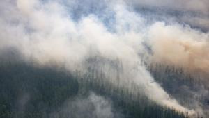 67f192a02ff9d0.95859710 Економічні новини - головні новини України та світу