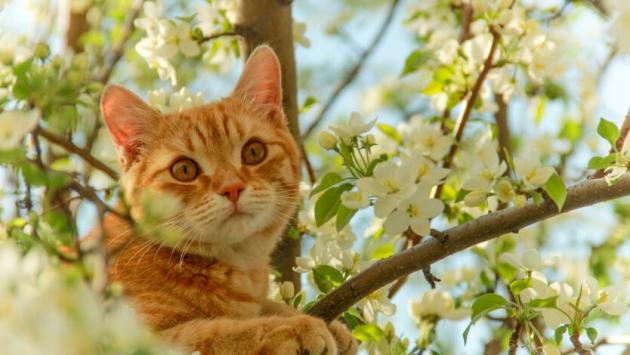 6jusbh3ovhwjvsdmyum0epiobocsxlmg Економічні новини - головні новини України та світу