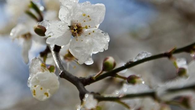 800 0 1495462946 1262 Економічні новини - головні новини України та світу