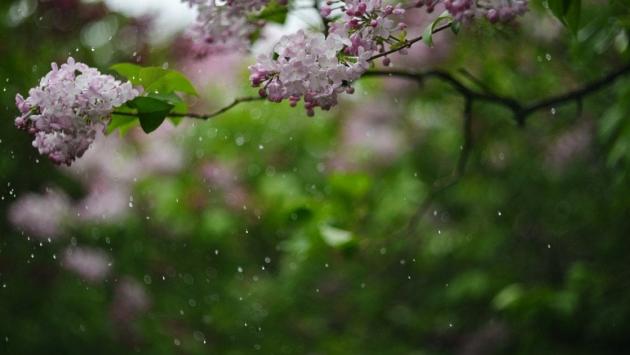 a57760a15403ca867cc937766be9b28f Економічні новини - головні новини України та світу