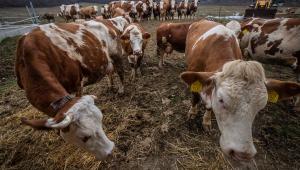 bez nazvy 1 Економічні новини - головні новини України та світу