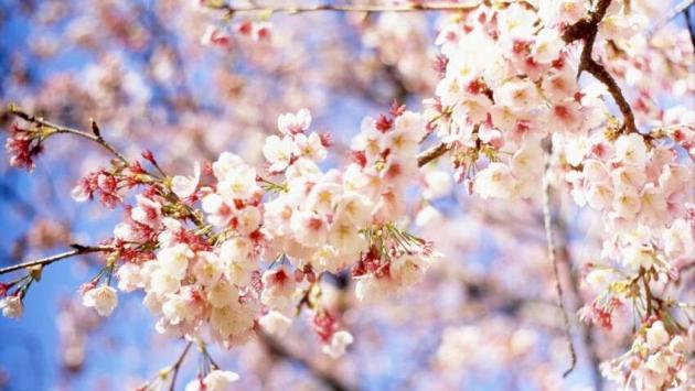 dp4ktmc6u rd8utswcqeoetabbm5jeeu Економічні новини - головні новини України та світу