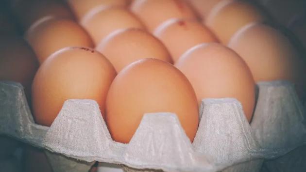 egg 40599571280 Економічні новини - головні новини України та світу