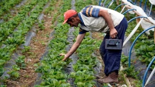 image 11.jpg Економічні новини - головні новини України та світу