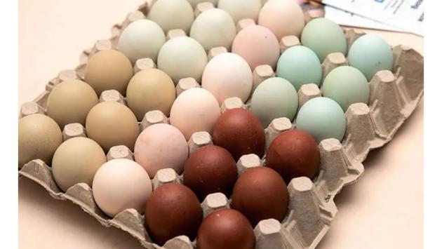 izobrazhenie viber 2025 04 17 21 24 14 627 Економічні новини - головні новини України та світу