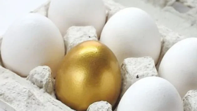 jajcja 960x540.jpg Економічні новини - головні новини України та світу