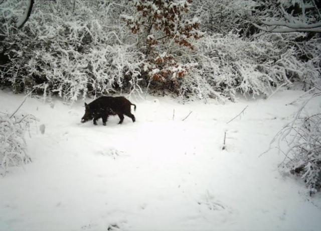 kaban Економічні новини - головні новини України та світу