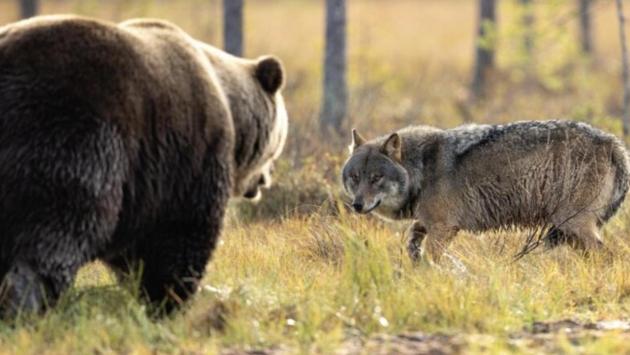 snimok ekrana 2025 04 01 v 11.21.02 Економічні новини - головні новини України та світу